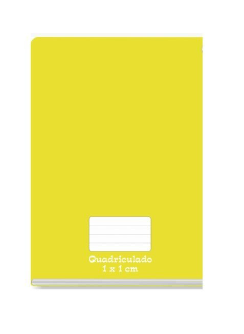 CADERNO CD QUADRICULADO 48F-BROCHURAO TAMOIO AM