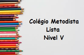 NIVEL V