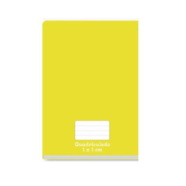 CADERNO CD QUADRICULADO 48F-BROCHURAO TAMOIO AM