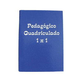 CADERNO 1/4 BROCH.CD 096F QUADRICULADO 1X1